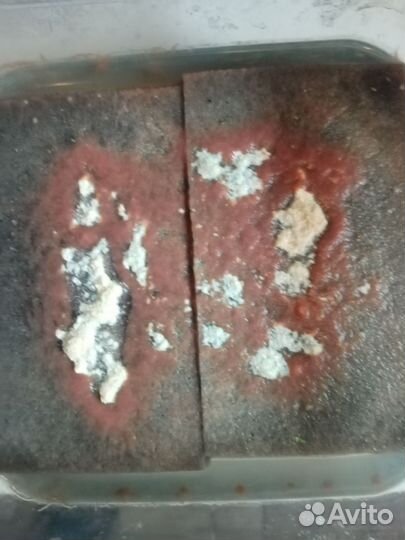 Аквариумные рыбки