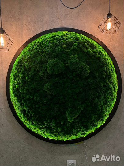 Изготовление декоративного пано из мха