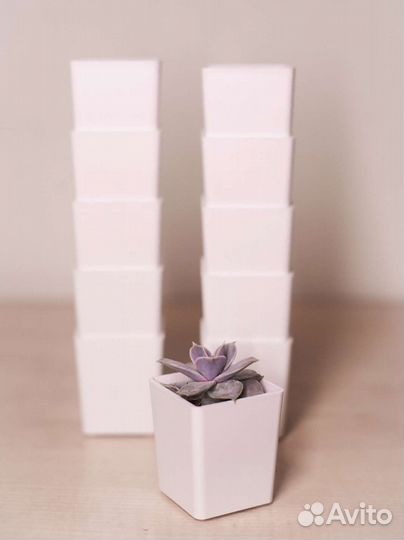 Горшки для суккулентов и др.растений