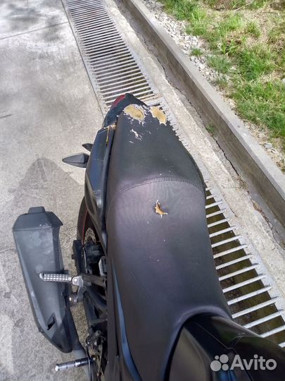 Motoland RS250