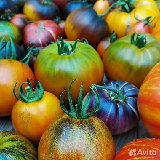 Продаю семена коллекционных томатов и перцев