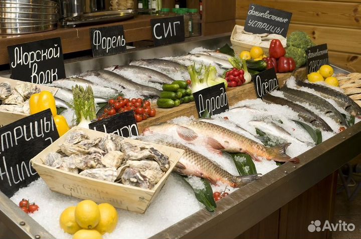 Франшиза свежих морепродуктов в топ-локации