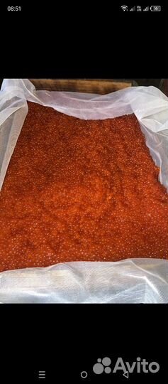 Красная икра кета 2024