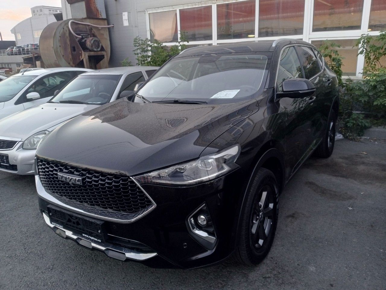 HAVAL F7: фото владельца