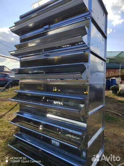 Клетка для перепелок