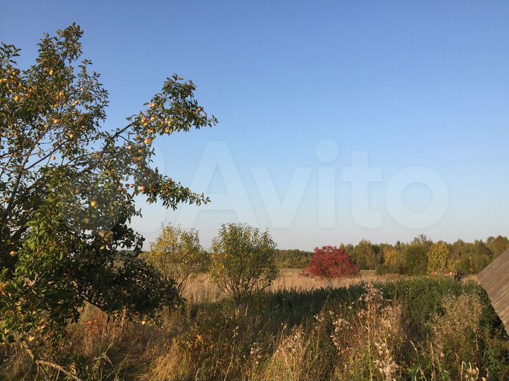 Участок 1,96 га (ИЖС)