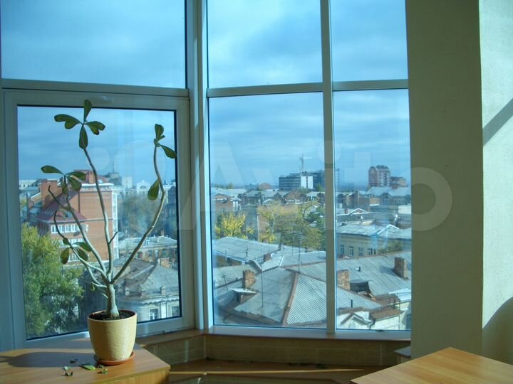 Лучшее в Ростове