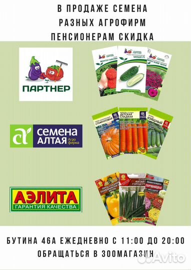 Семена агрофирмы Партнёр, семена Алтая, Аэлита