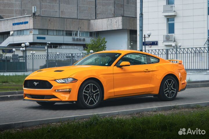 Ford Mustang 2.3 МТ, 2019, 50 960 км