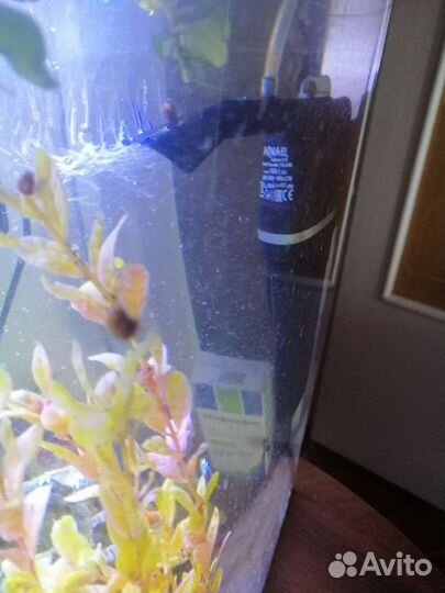 Аквариум