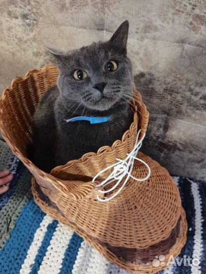 Сапожок-башмачок