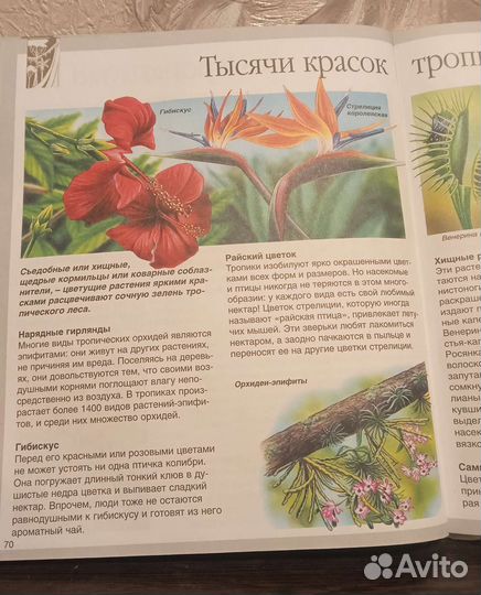 Детская энциклопедия 