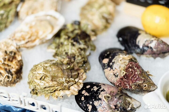 Подарочный сертификат на живые морские деликатесы