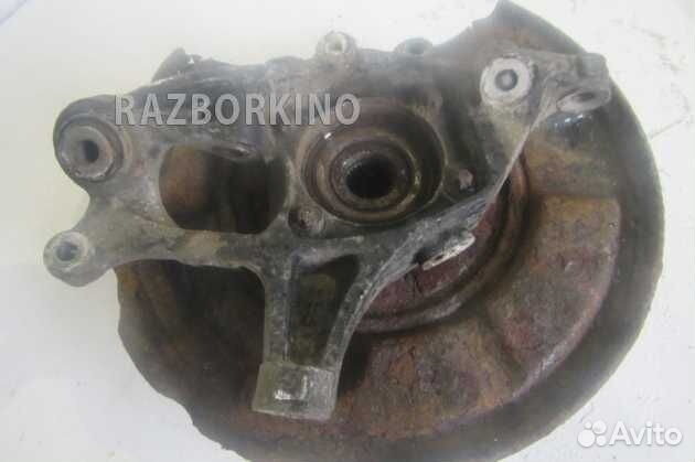 Кулак задний правый