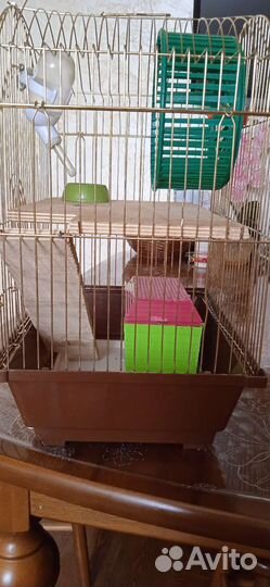 2 клетки для хомяка