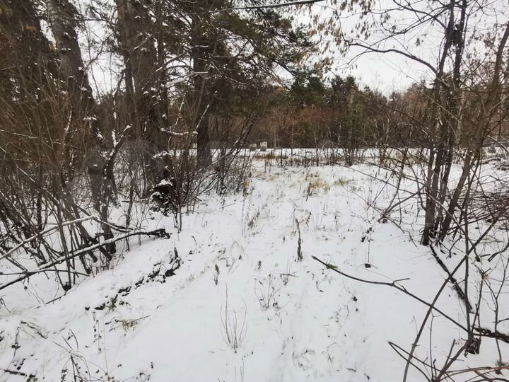 Участок 10 сот. (ИЖС)