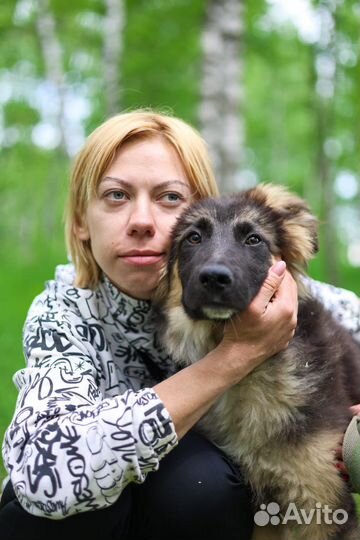 Щенку очень нужен дом