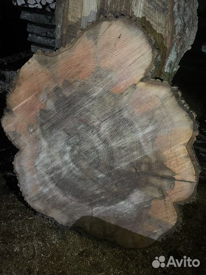 Слэб ясеня круглый большой