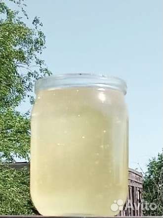 Мед Белой Акации урожай 2023.Бесплатная доставка