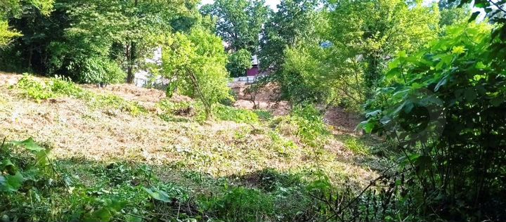 Участок 5,5 сот. (СНТ, ДНП)