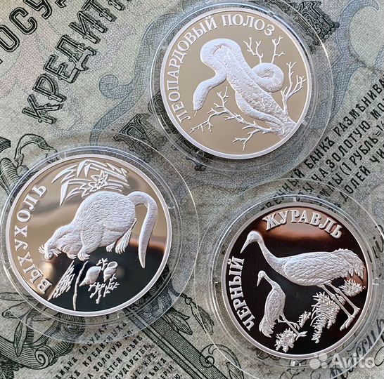 Набор 1 рубль 2000 Красна книга Выхухоль Полоз