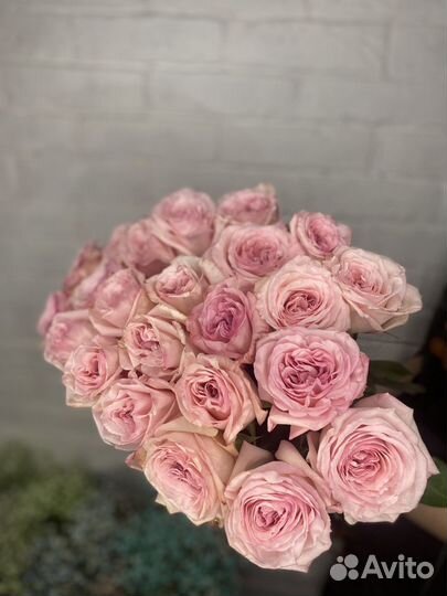 Роза Пинк Охара розовая с ароматом