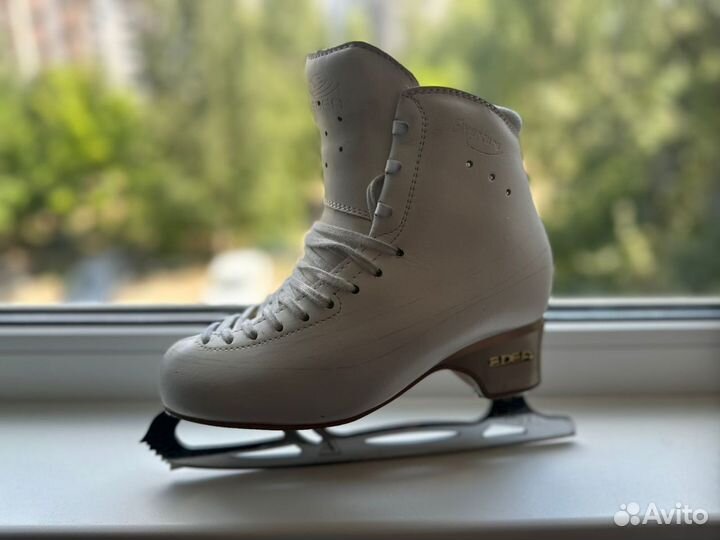 Фигурные коньки edea Overture 245