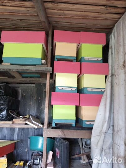 Пчелы бакфаст, улья