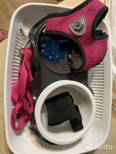 Игрушки для маленьких собак