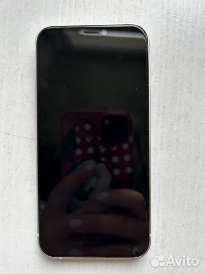 Apple iPhone 12 mini