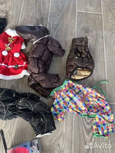 Одежда для маленькой собаки, новая и бу