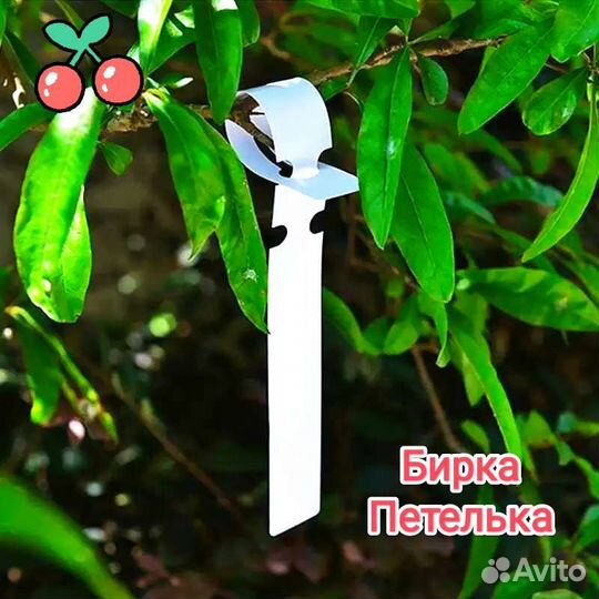 Бирки для растений и саженцев