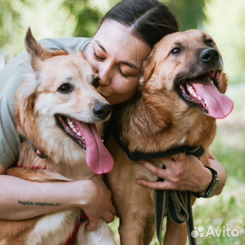 Зоопсихолог. Кинолог. Работаю с собаками и кошками
