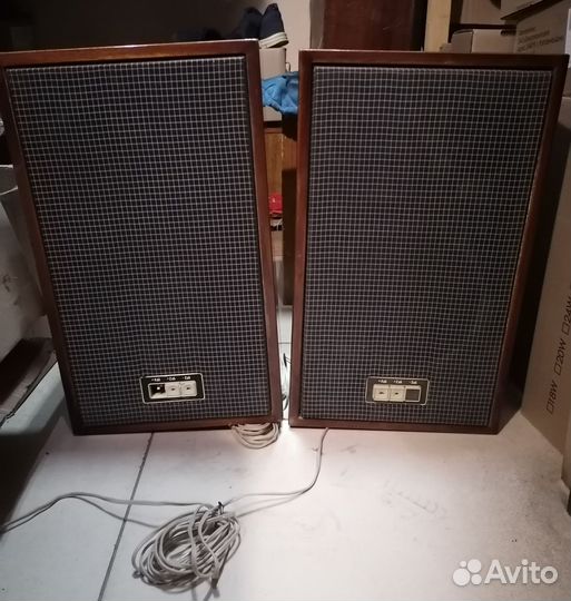 Колонки 25ас-302