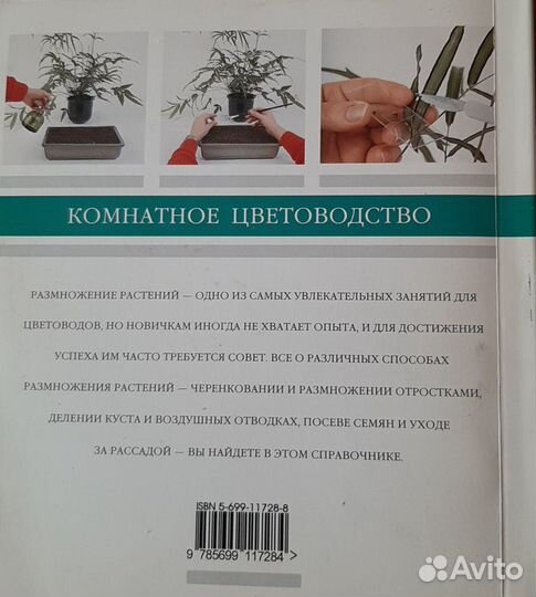 Комнатные растения и полезные советы