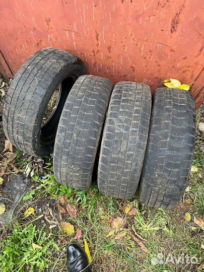 Dunlop Winter Maxx 175/65 R14