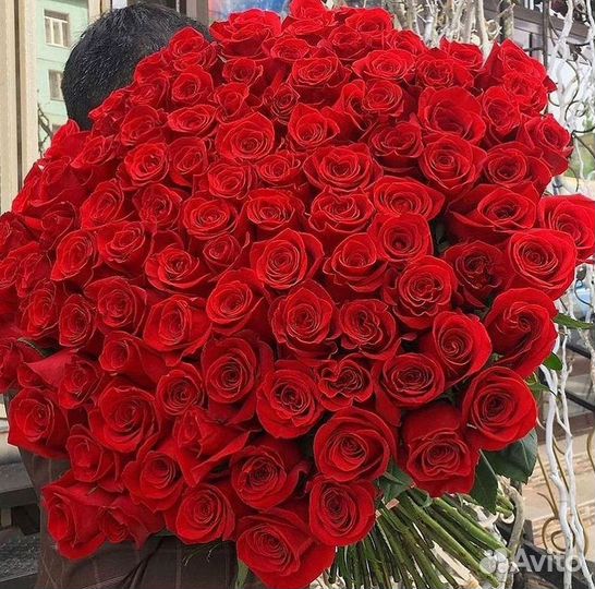 Высокие розы Гигантские розы 110 Доставка цветов