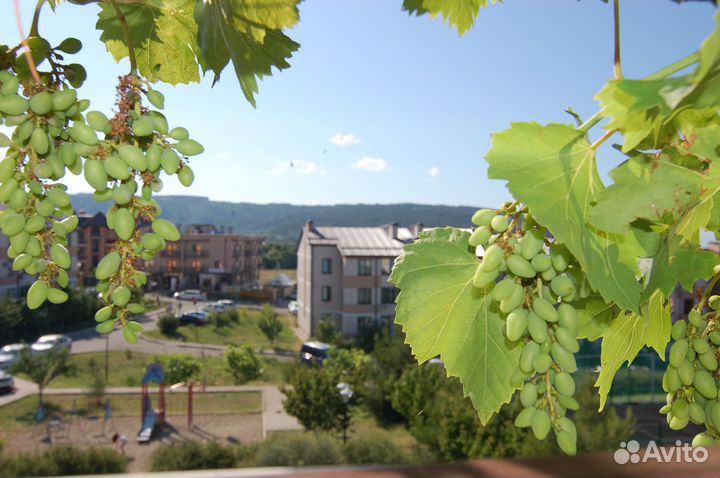 Квартиры посуточно в ЖК Легенда