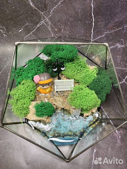 Флорариум суккуленты