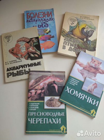 О домашних питомцах