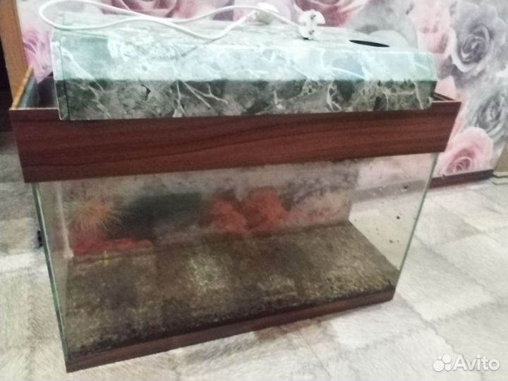 Аквариум