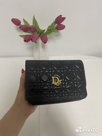 Сумка dior маленькая