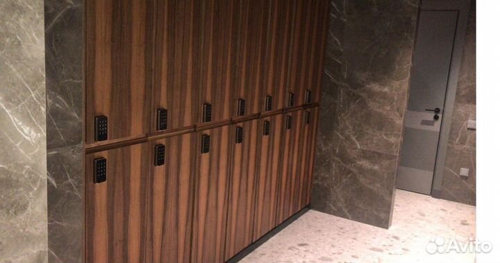 Мебельные электронные Ozlocks замки для финтес-клу