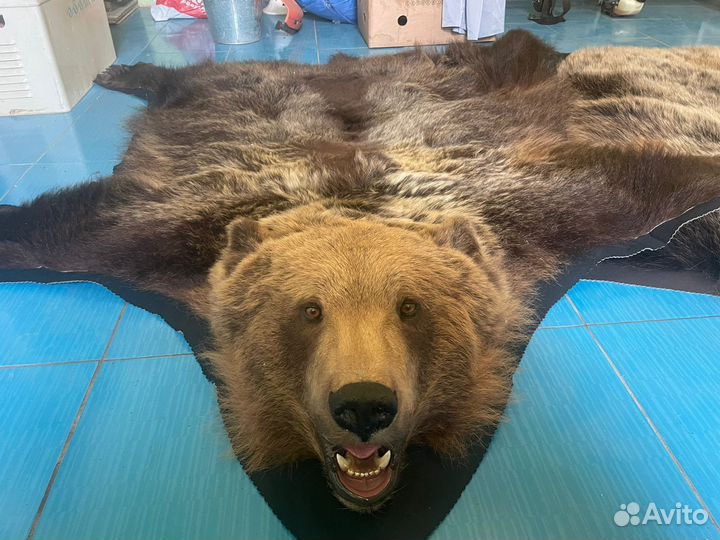 Шкура медведя имитация