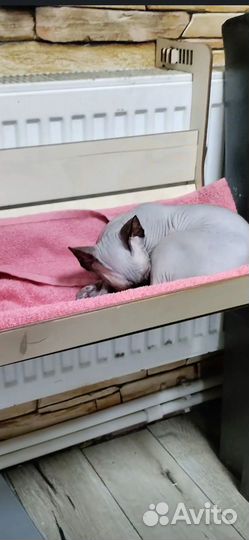 Лежанка для кошек новая.Настенный комплекс