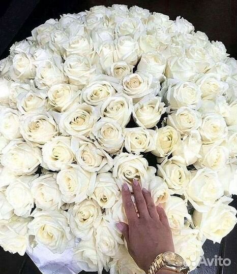 Розы Цветы Букеты 25 151 201 101 301 501 опт