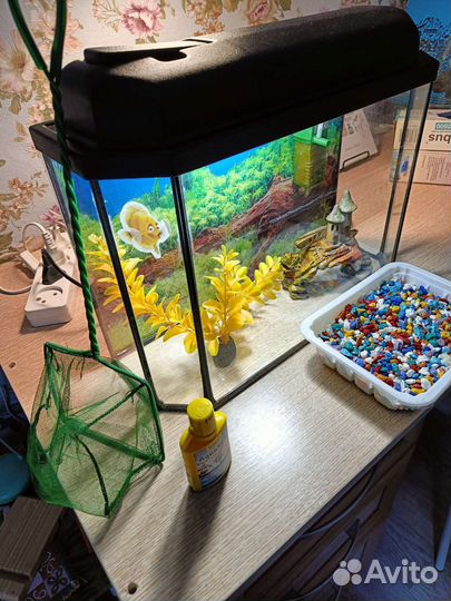 Аквариум