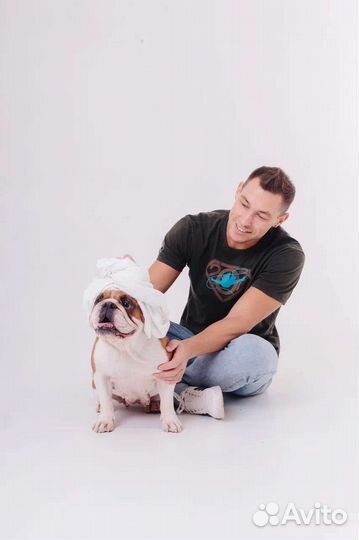 Аренда места для груминга