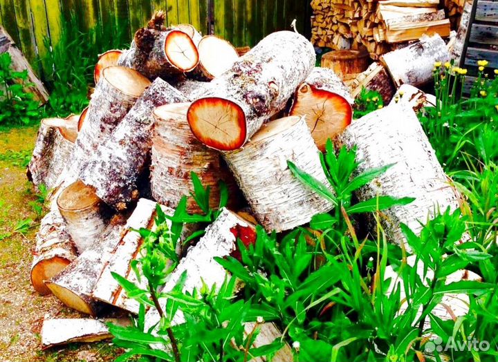 Дрова осинка