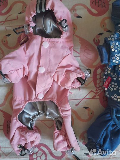 Костюмчики для маленькой собачки